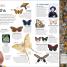 Insect - thumbnail of spread image 3 Thumbnail image of Insect - 3