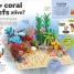 LEGO Amazing Earth - thumbnail of spread image 4 Thumbnail image of LEGO Amazing Earth - 4