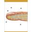 Our World in Pictures Human Body Flash Cards - thumbnail of spread image 5 Thumbnail image of Our World in Pictures Human Body Flash Cards - 5