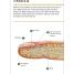 Our World in Pictures Human Body Flash Cards - thumbnail of spread image 6 Thumbnail image of Our World in Pictures Human Body Flash Cards - 6