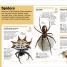 Pocket Genius Nature Collection Box Set - thumbnail of spread image 4 Thumbnail image of Pocket Genius Nature Collection Box Set - 4