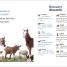 DK Super Readers Pre-Level English-Spanish bilingual Farm Animals – Los animales de la granja - thumbnail of spread image 3 Thumbnail image of DK Super Readers Pre-Level English-Spanish bilingual Farm Animals – Los animales de la granja - 3