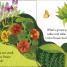 Pop-Up Peekaboo! Garden - thumbnail of spread image 1 Thumbnail image of Pop-Up Peekaboo! Garden - 1