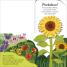 Pop-Up Peekaboo! Garden - thumbnail of spread image 2 Thumbnail image of Pop-Up Peekaboo! Garden - 2
