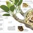 Knowledge Encyclopedia Plants and Fungi! - thumbnail of spread image 3 Thumbnail image of Knowledge Encyclopedia Plants and Fungi! - 3