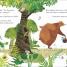 Thumbnail image of Jonny Lambert’s Bear and Bird: Find a Footprint - 1