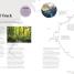 Rutas: Senderismo (Hike) - thumbnail of spread image 5 Thumbnail image of Rutas: Senderismo (Hike) - 5