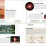 Historia de la ciencia (Timelines of Science) - thumbnail of spread image 5 Thumbnail image of Historia de la ciencia (Timelines of Science) - 5