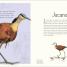 Maravillas del mundo acuático (An Anthology of Aquatic Life) - thumbnail of spread image 2 Thumbnail image of Maravillas del mundo acuático (An Anthology of Aquatic Life) - 2