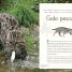 Maravillas del mundo acuático (An Anthology of Aquatic Life) - thumbnail of spread image 4 Thumbnail image of Maravillas del mundo acuático (An Anthology of Aquatic Life) - 4
