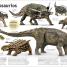 El libro de los dinosaurios (The Dinosaur Book) - thumbnail of spread image 3 Thumbnail image of El libro de los dinosaurios (The Dinosaur Book) - 3