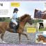 My Book of Horses and Ponies - thumbnail of spread image 2 Thumbnail image of My Book of Horses and Ponies - 2