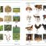 French English Bilingual Visual Dictionary - thumbnail of spread image 3 Thumbnail image of French English Bilingual Visual Dictionary - 3
