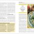 El libro de la Biblia (The Bible Book) - thumbnail of spread image 1 Thumbnail image of El libro de la Biblia (The Bible Book) - 1
