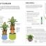 Thumbnail image of Cómo no matar tus plantas (How Not to Kill Your Houseplant) - 2