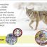 DK Super Readers Pre-Level A Coyote's Tale - thumbnail of spread image 2 Thumbnail image of DK Super Readers Pre-Level A Coyote's Tale - 2