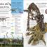 Eyewitness La enciclopedia (en español) (Encyclopedia of Everything) - thumbnail of spread image 2 Thumbnail image of Eyewitness La enciclopedia (en español) (Encyclopedia of Everything) - 2