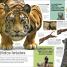 Eyewitness La enciclopedia (en español) (Encyclopedia of Everything) - thumbnail of spread image 3 Thumbnail image of Eyewitness La enciclopedia (en español) (Encyclopedia of Everything) - 3