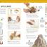 Home Activity Lab - thumbnail of spread image 2 Thumbnail image of Home Activity Lab - 2