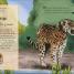 Life in the Wild - thumbnail of spread image 2 Thumbnail image of Life in the Wild - 2