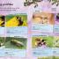 The Children's Book of Wildlife Watching - thumbnail of spread image 2 Thumbnail image of The Children's Book of Wildlife Watching - 2