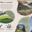 Mountain - thumbnail of spread image 1 Thumbnail image of Mountain - 1