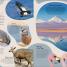Mountain - thumbnail of spread image 4 Thumbnail image of Mountain - 4