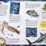 Sticker Encyclopedia Sharks - thumbnail of spread image 3 Thumbnail image of Sticker Encyclopedia Sharks - 3