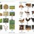 Russian English Bilingual Visual Dictionary - thumbnail of spread image 3 Thumbnail image of Russian English Bilingual Visual Dictionary - 3