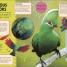 Odd Animals Out - thumbnail of spread image 3 Thumbnail image of Odd Animals Out - 3