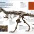 Make Your Own T. Rex - thumbnail of spread image 1 Thumbnail image of Make Your Own T. Rex - 1
