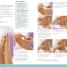 Thumbnail image of Complete Reflexology for Life - 2