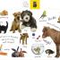 Thumbnail image of Tabbed Board Books: My First Animals - 1
