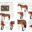 Thumbnail image of Complete Horse Care Manual - 3