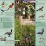 What's that Bird? - thumbnail of spread image 7 Thumbnail image of What's that Bird? - 7