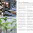 The Complete Gardener - thumbnail of spread image 8 Thumbnail image of The Complete Gardener - 8