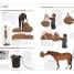 Thumbnail image of Complete Horse Care Manual - 3