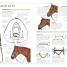 Thumbnail image of Complete Horse Care Manual - 4