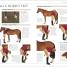 Thumbnail image of Complete Horse Care Manual - 7