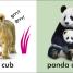 Thumbnail image of Baby Touch and Feel Cuddly Animals - 2