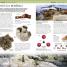 Thumbnail image of Nature Guide Rocks and Minerals - 5