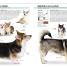 Thumbnail image of The Complete Dog Breed Book - 1