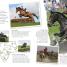 Thumbnail image of Treasury of Horses - 1