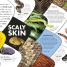 Everything You Need to Know About Snakes - thumbnail of spread image 1 Thumbnail image of Everything You Need to Know About Snakes - 1