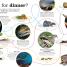 Everything You Need to Know About Snakes - thumbnail of spread image 3 Thumbnail image of Everything You Need to Know About Snakes - 3