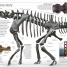 Thumbnail image of Dinosaur - 2