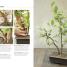 Thumbnail image of Bonsai - 3