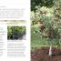 Thumbnail image of RHS Grow Fruit and Veg Guide - 2