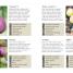 Thumbnail image of RHS Grow Fruit and Veg Guide - 3