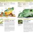 Thumbnail image of Nature Guide Snakes and Other Reptiles and Amphibians - 4